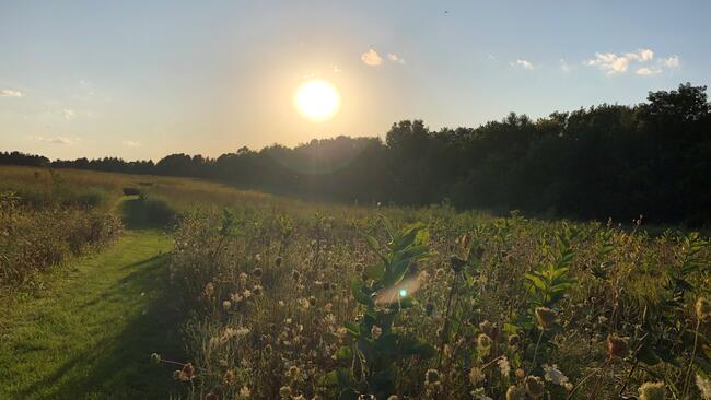 Prairie at Sunset